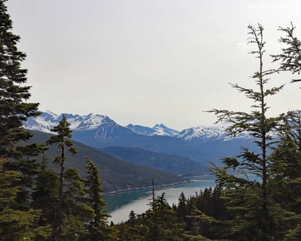 istock Skagway mountains, Alaska 698869824