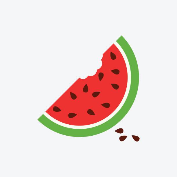 ilustraciones, imágenes clip art, dibujos animados e iconos de stock de icono de sandía. fruta madura jugosa sobre fondo blanco - watermelon