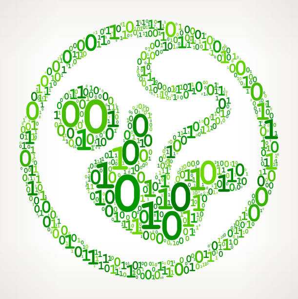 Fetus  Binary Code Zero One Vector Illustration Fetus  Binary Code Zero One Vector Illustration. This royalty free vector illustration features a set green binary numbers zero and one pattern that forms the main shape in the center of this composition. The 0 and 1 numbers vary in size and in the shade of the green color. The background is light with a slight gradient. This image is ideal for technology and mathematical binary code concepts. The design is very clean and elegant and the vector background can be scaled to any size. 0 1 months stock illustrations