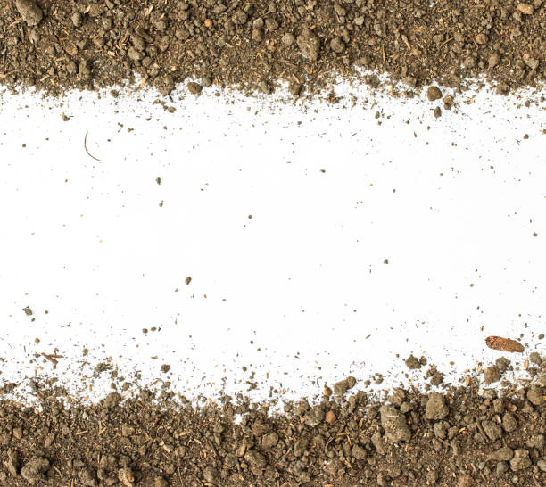 istock Dirty earth on white background. Natural soil texture 698902728
