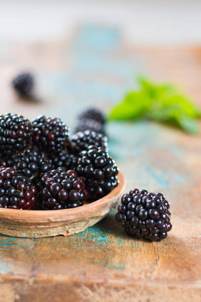 istock Fresh summer wild blackberries with leaves 698911628