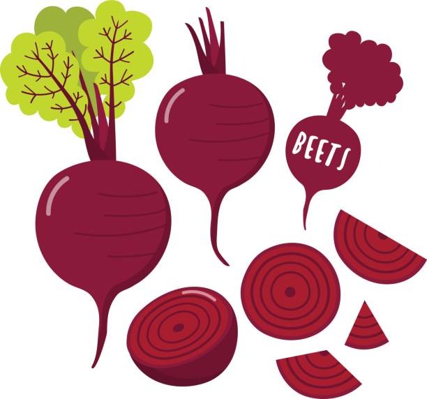 illustrazioni stock, clip art, cartoni animati e icone di tendenza di radice di barbabietola - beet common beet isolated red