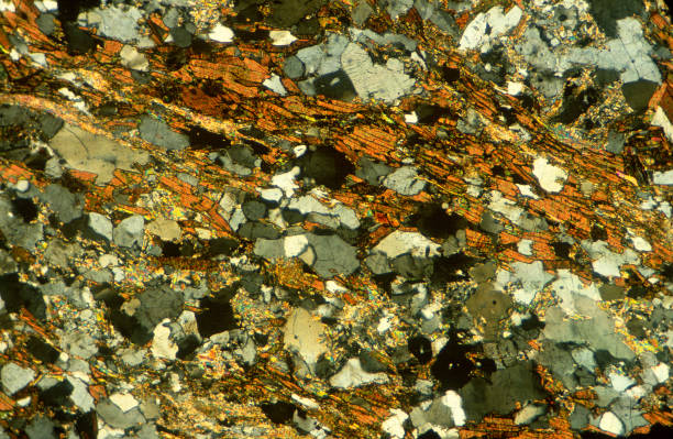 gneiss - foliated foto e immagini stock