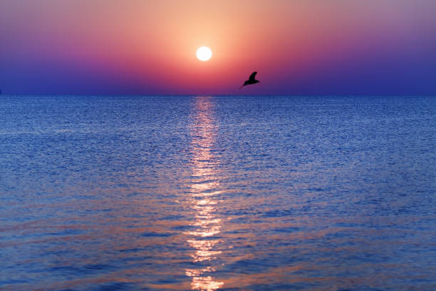 istock Sunrise over the sea 698951578