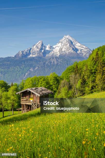 Alpine Landschaft Mit Hütte Im Sommer Stockfoto und mehr Bilder von Österreich - Österreich, Berg, Salzburg