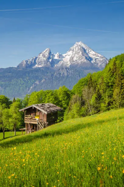 Beautiful view of idyllic mountain scenery in the Alps with traditional mountain chalet and fresh green mountain pastures with blooming flowers on a sunny day with blue sky and clouds in summer