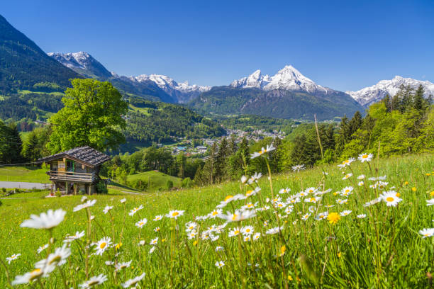 paisaje alpino con chalet de montaña en verano - alpine meadow fotografías e imágenes de stock