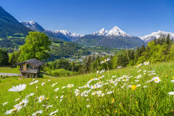 Photo of Alpine scenery with mountain chalet in summer