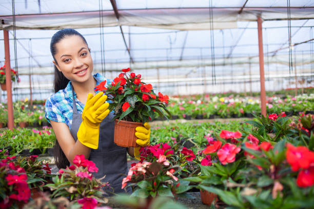 istock Woman in greenhouse 699015010