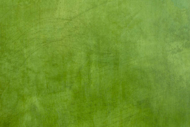 istock Dark green texture pattern abstract background can be use as wall paper screen saver also have copy space for text. 699070934