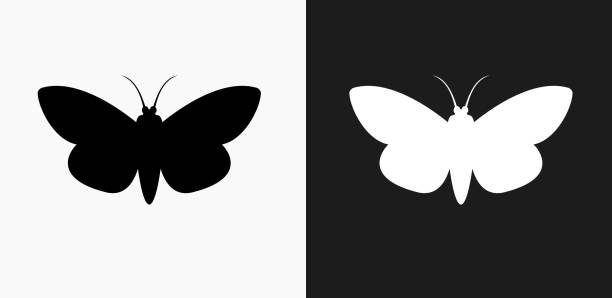 黒と白のベクトルの背景の蛾アイコン - 2649点のイラスト素材／クリップアート素材／マンガ素材／アイコン素材