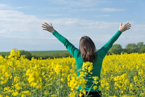 istock Girl in a field of rape. 699093560