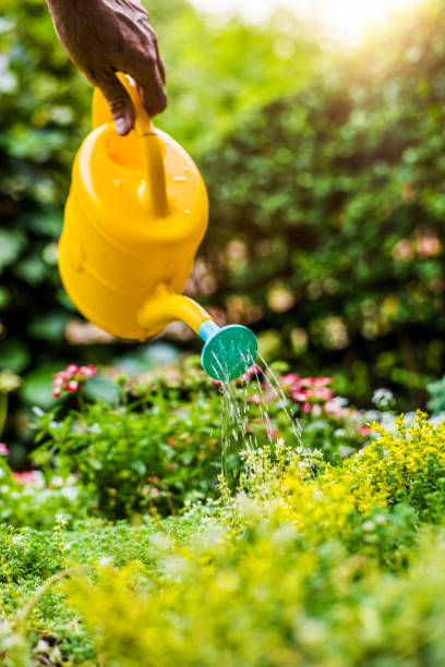 istock Now to wait and see how they grow! 699097598