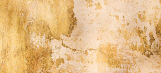 istock Old vintage grungy plaster painted wall texture background 699098320