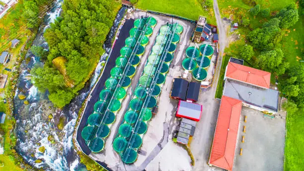 Photo of Salmon fish farm. Norway