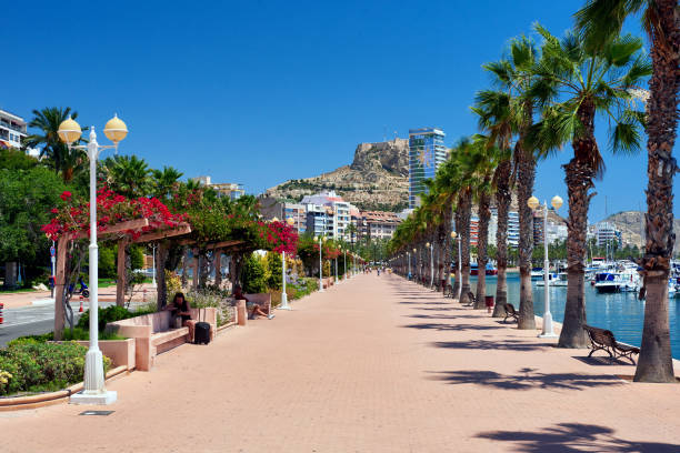 Alicante: Palm-lined seafront promenade in sunny summer day. It is one of the most lovely promenades in Spain