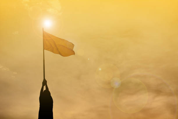 istock Boy Holding Flag Against Cloudy Sky During Sunset 699167239