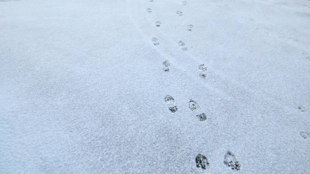 istock High Angle View Of Shoeprints On Snow Covered Field 699174561