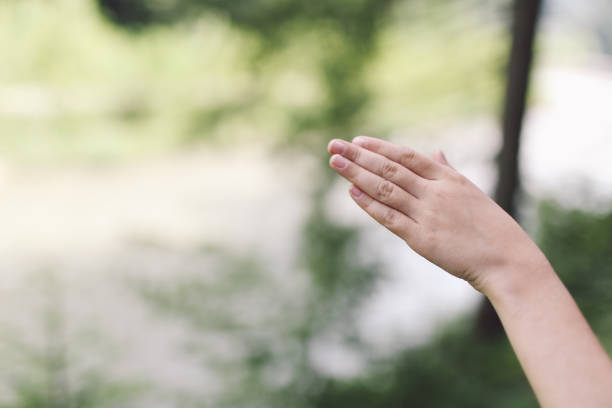 istock Cropped Hand Of Person In Forest 699176419