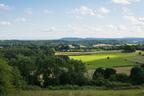 istock Scenic View Of Field Against Sky 699193295