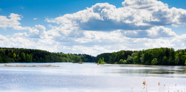 istock Blue sky with white clouds. Forest on the banks of the river. 699204888