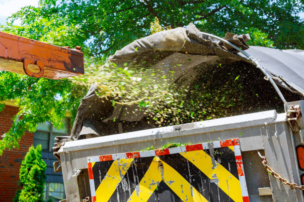 istock industrial wood chipper loading truck with mulch 699221068