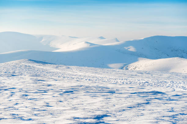 istock Beautiful winter landscape 699230506