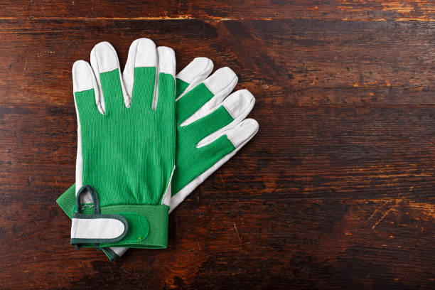 istock construction gloves on a wooden background 699251622