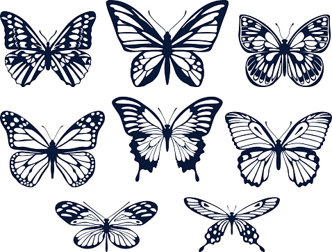 Vector set of non-continuous silhouettes of butterflies in a flat style on a white background.