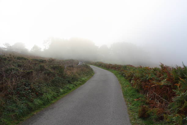 istock Road in the fog 699259890