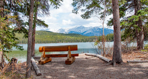 istock The Athabasca River near Jasper, Alberta summer 699260826