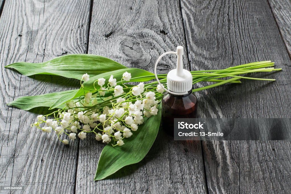 Lilies Of The Valley And Essential Oil In Vial Stock Photo