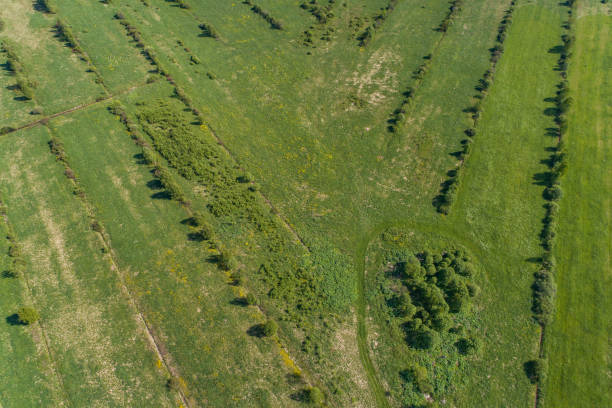 istock Green field aerial view 699276522
