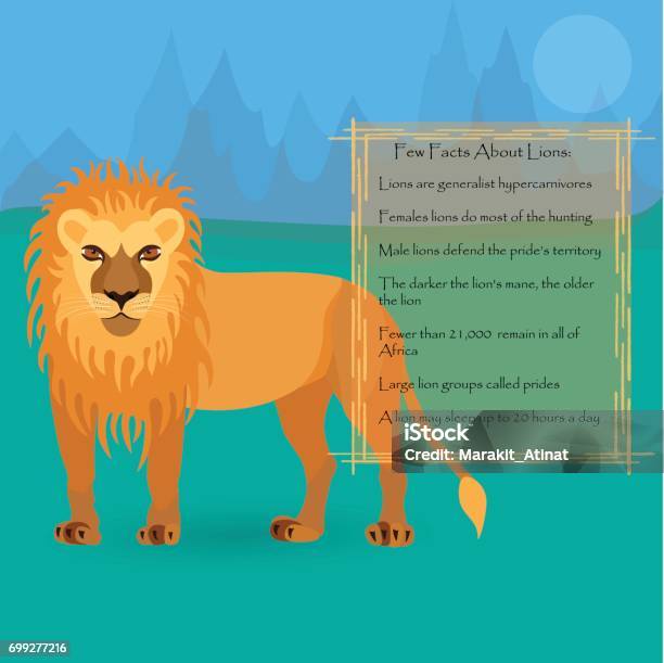 African Lion Stock Illustration - Download Image Now - Africa, Animal,  Animal Hair - iStock