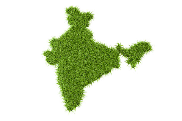 istock Indian map from green grass, 3D rendering isolated on white background 699282348