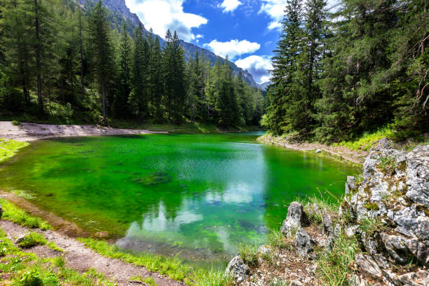 istock Gruner See - Beautiful green lake with crystal clear water 699282522