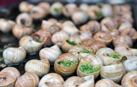 Cooked snails with garlic herbs sauce closeup