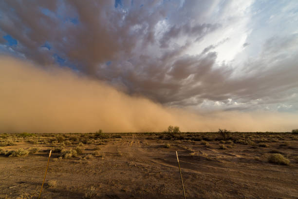 istock Phoenix, Arizona monsoon dust storm 699315756