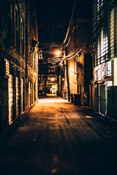 istock Dark alley - Bucktown, Chicago 699330450