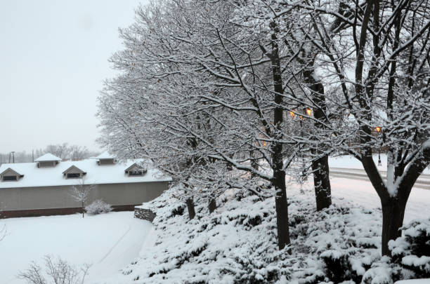 istock Snow laden trees overlook a small park 699333828