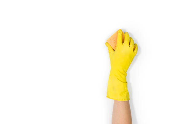 istock Woman's hand cleaning isolated on white background 699360822
