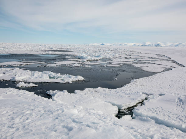 istock Iceberg at ice floe edge Baffin Island 699372846