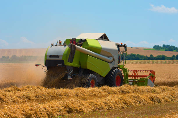 istock Combine harvester harvest ripe wheat on a farm 699380778