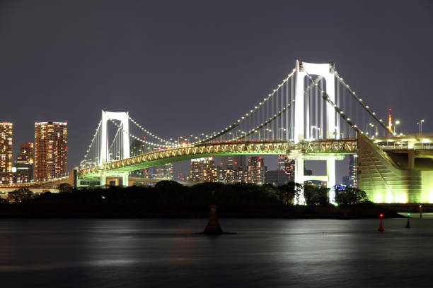 istock Light of Tokyo Bay 699381546