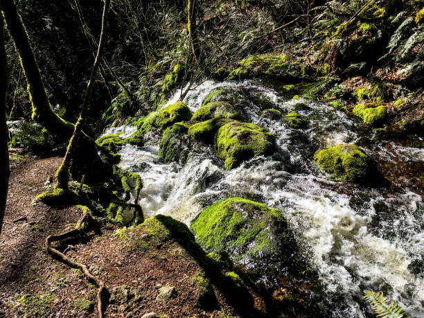 istock Far Country Falls III 699392972