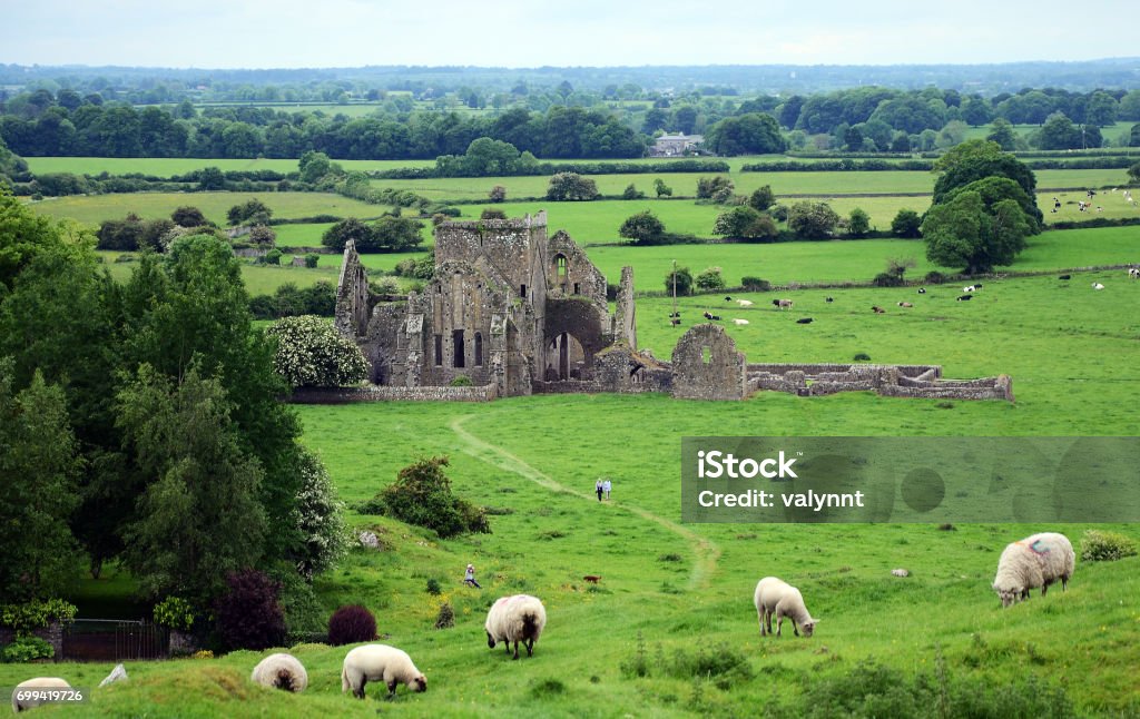 Hore Abbey View of Hore Abbey from Rock of Cashel in Ireland. Ireland Stock Photo