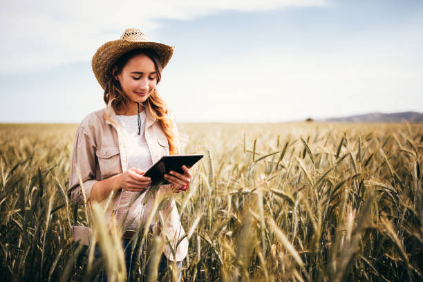 istock Young female agriculture scientist checking wheat crops with digital tablet 699475006