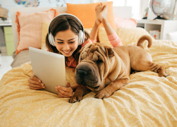 ouvir podcast - dog school audio - fotografias e filmes do acervo
