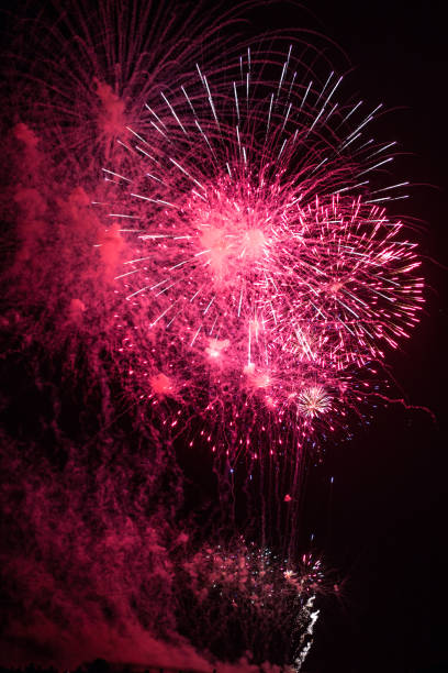 istock Fireworks on Beach July 4th 699504382