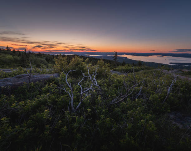 istock Acadia National Park landscape 699516240